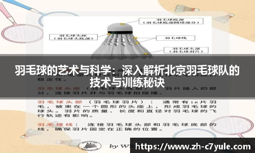 羽毛球的艺术与科学：深入解析北京羽毛球队的技术与训练秘诀